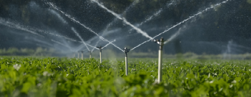 Panel Discussion: Water and Food Security as Strategic Imperatives