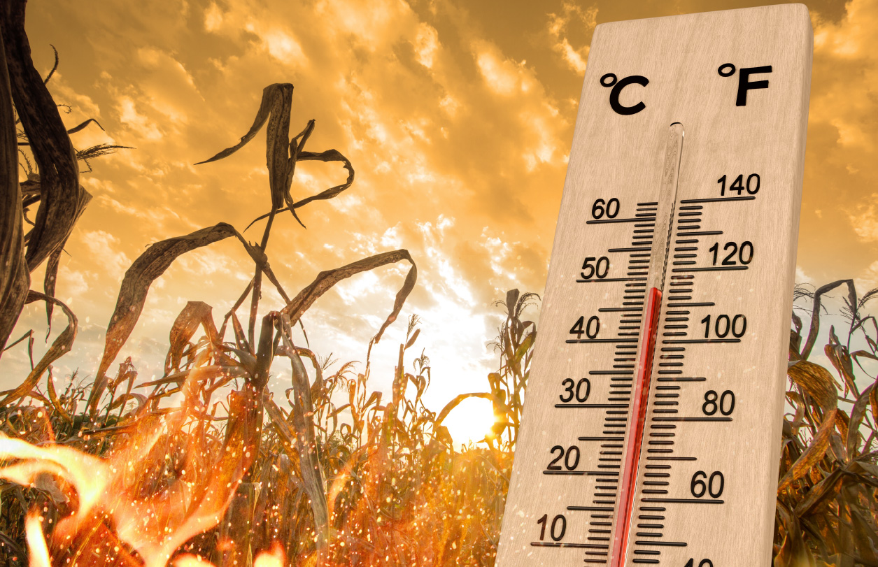 موجات الحر والأمن في قرن يزداد سخونة: مفهوم جديد لتهديد الأنظمة