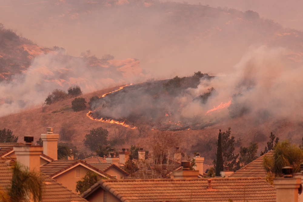 From Natural Disaster to National Security: California Wildfires and a Crisis of Climate, Policy, and Politics