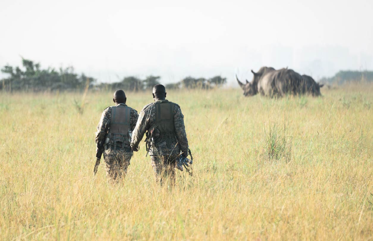 The Illicit Trade in African Wildlife: Scale, Drivers, and Global Security Implications