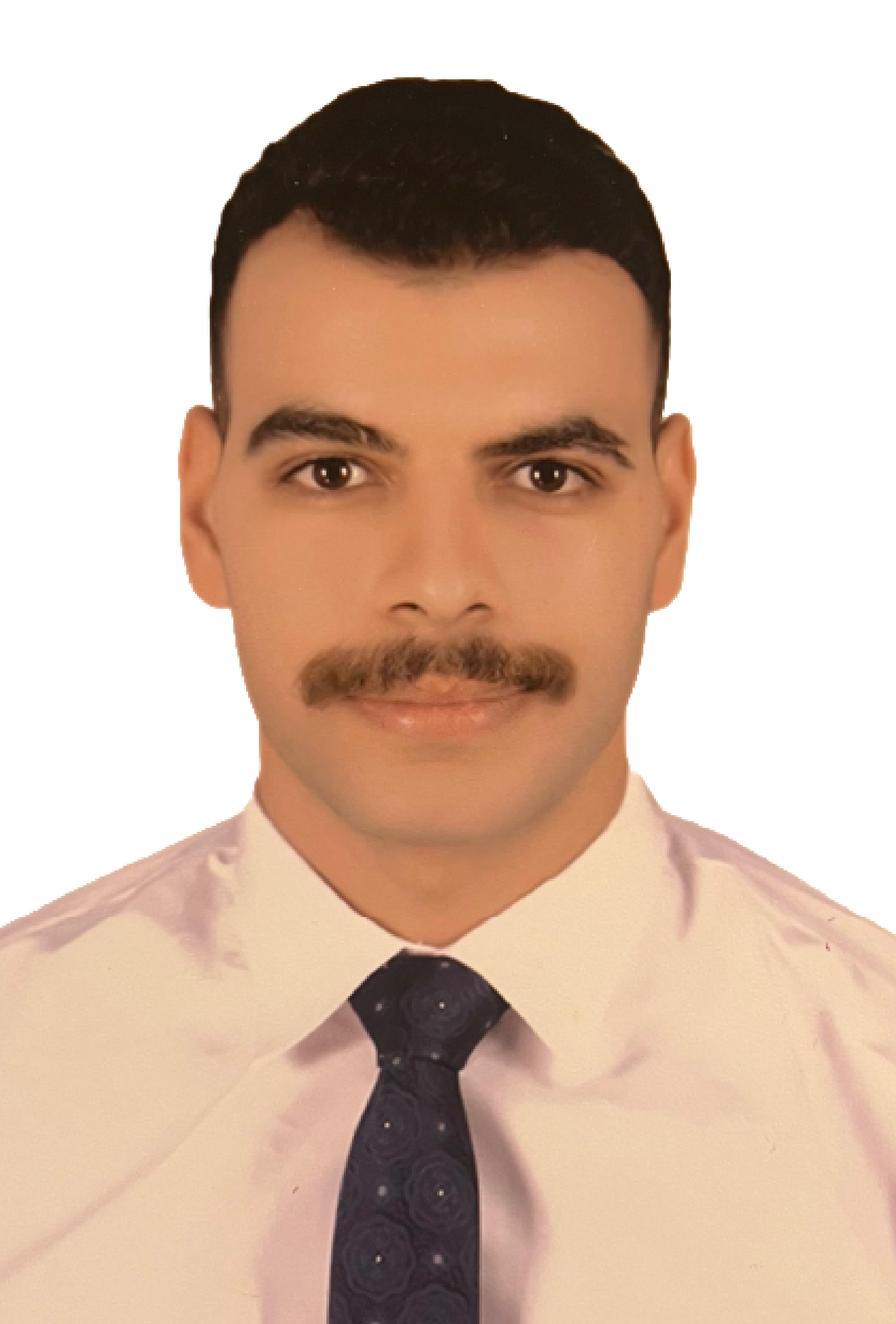 محمد نبيل البنداري